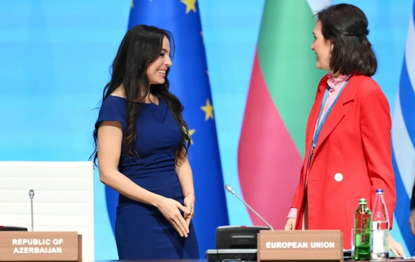 Leyla Əliyeva "Yaşıl enerji layihələri" sessiyasında çıxış edib