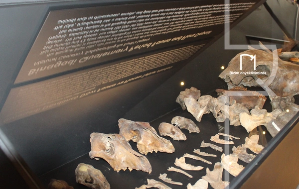 Palçıq Vulkanları Turizm Kompleksi – Azərbaycanın təbiət möcüzələrinə açılan yeni qapı