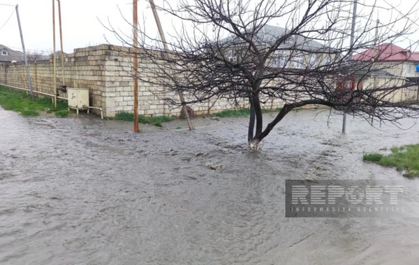 Qubada kanalizasiya borusunun tutulması nəticəsində 10-a yaxın evi su basıb