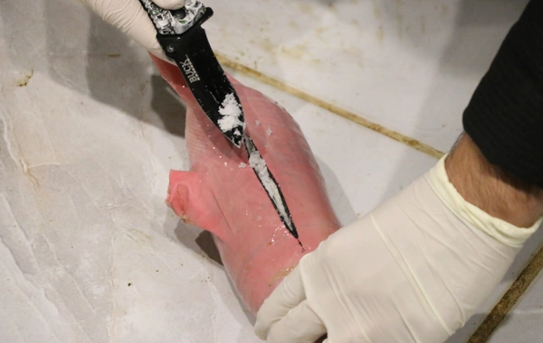 Qoyunların qarın boşluğunda narkotik gizlədildi – 54,6 kiloqram metamfetamin ələ keçirildi