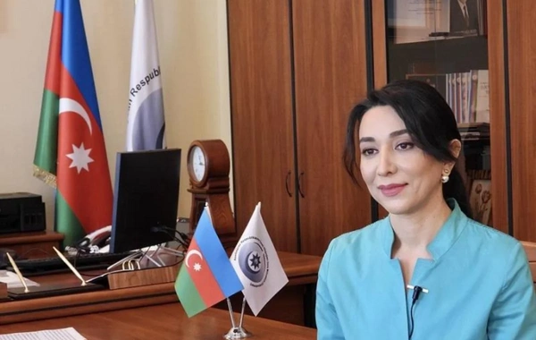 Ombudsman beynəlxalq təşkilatları minatəmizləmə ilə bağlı Azərbaycana dəstəyi gücləndirməyə çağırıb