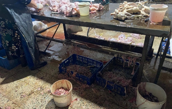 Xırdalanda 2 min ev quşunun qanunsuz kəsildiyi sexin fəaliyyəti məhdudlaşdırılıb