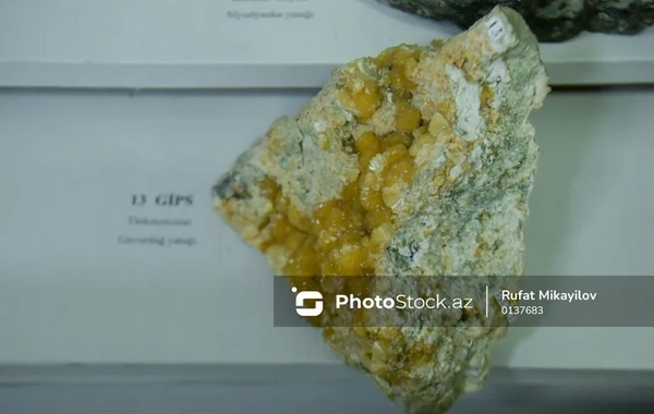Bakıda unikal muzey: Dünyanın 56 yatağından toplanan minerallar - FOTOREPORTAJ