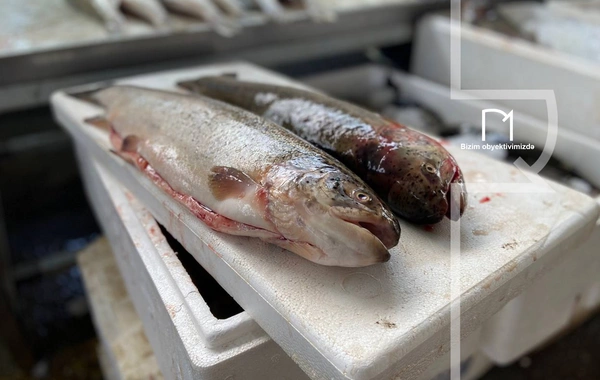 Ət əvəzinə hamı balıq alır - Bazarda SON QİYMƏTLƏR