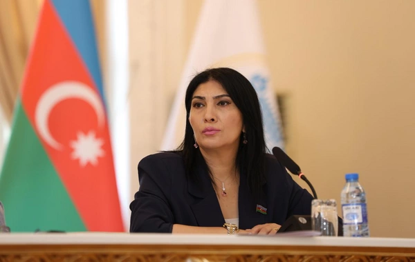 Türk tarixinə baxış və ideoloji yanaşmalar müzakirə olunub