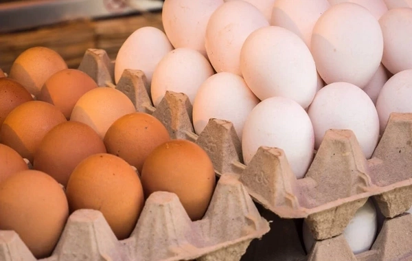 Стоит ли ждать удешевления куриных яиц в Азербайджане?