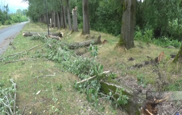 Zaqatalada güclü külək ciddi fəsadlar yaradıb
