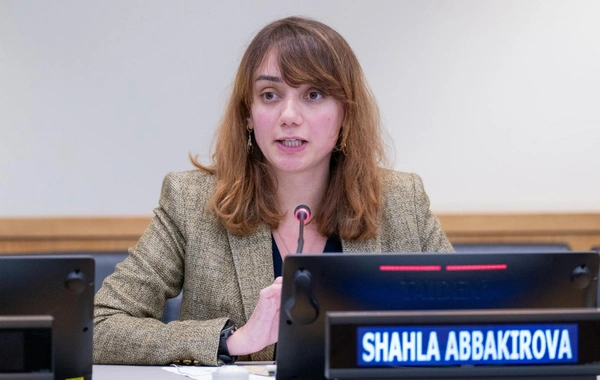 COP29 nümayəndə heyəti BMT Baş Assambleyasının sessiyası və Nyu-York İqlim Həftəsinə qatılıb