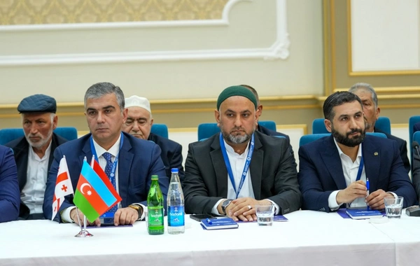 Naxçıvanda "Zəngəzur yolu: tarixin izi ilə" mövzusunda konfrans keçirilir