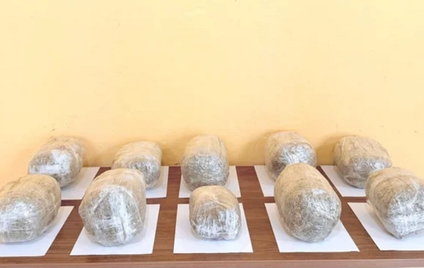 Пограничники пресекли контрабанду более 51 кг наркотиков из Ирана в Азербайджан