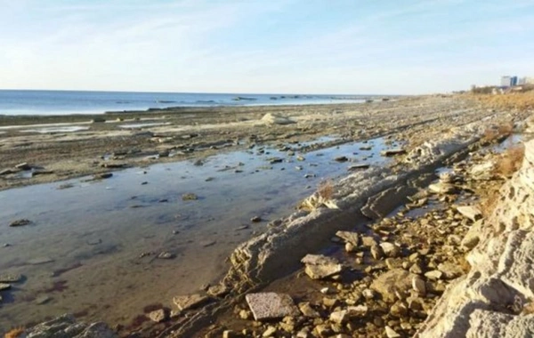 Xəzər dənizinin sahəsi 36 000 kvadrat kilometrdən çox azalıb