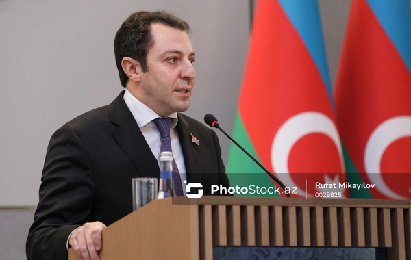 МИД: Отсутствие у Армении единой позиции препятствует подписанию мирного договора