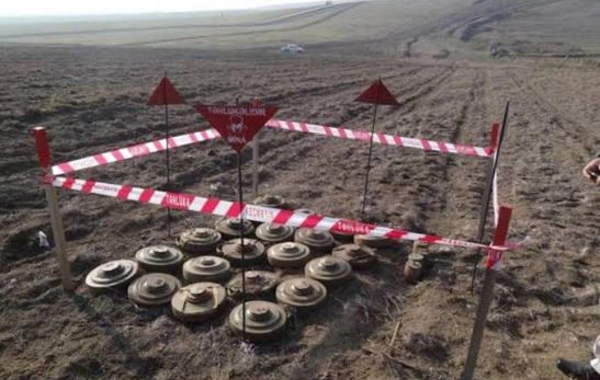 Ötən həftə 1700 hektardan çox ərazi minalardan təmizlənib