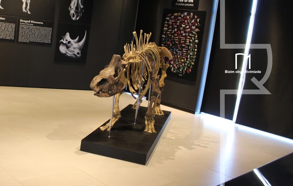 Palçıq Vulkanları Turizm Kompleksi – Azərbaycanın təbiət möcüzələrinə açılan yeni qapı