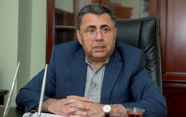 Cavanşir Paşazadə: "Pay torpaqlarında tikilən evlərlə bağlı problem var"