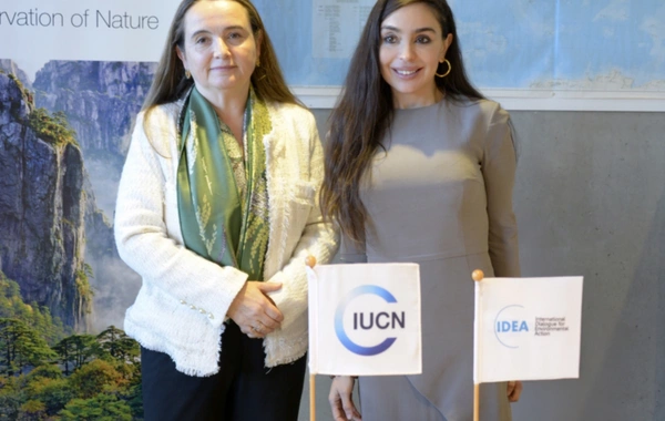 Leyla Əliyeva və Qretel Agilar İsveçrədə əməkdaşlıq imkanlarını müzakirə ediblər