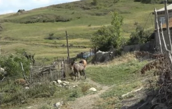 Qubada yol problemi: Sakinlər çətinliklərlə üzləşirlər