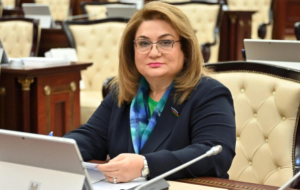 Azərbaycan və Özbəkistan münasibətləri yeni tarixi mərhələ astanasında ŞƏRH