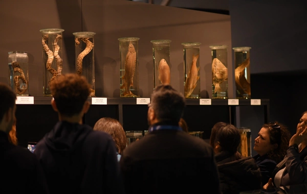 DTA tabeliyindəki qoruq və müəssisələrdəki yeniliklər təqdim olunub DTA tabeliyindəki qoruq və müəssisələrdəki yeniliklər təqdim olunub