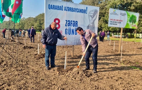 Zəfər Günü ilə əlaqədar 30 mindən artıq ağac əkildi