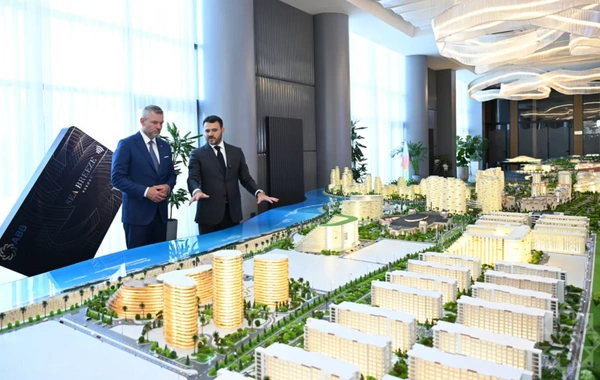 Slovakiya Prezidenti "Sea Breeze"lə tanış olub