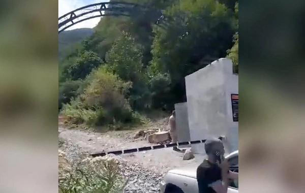Məşhur şəlaləyə gedən yola şlaqbaum qoyuldu - Səbəb bu imiş