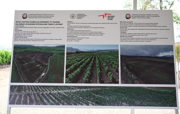 Xocalının Daşbulaq kəndində baramaçılığın inkişafı üçün yaradılmış infrastruktura baxış keçirilib