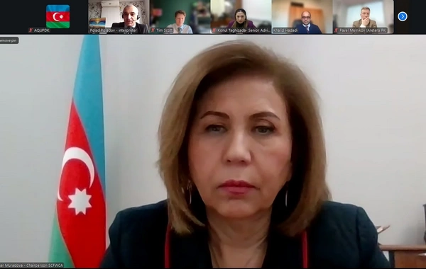 Azərbaycanda "Roblox" platformasının fəaliyyəti məhdudlaşdırıla bilər