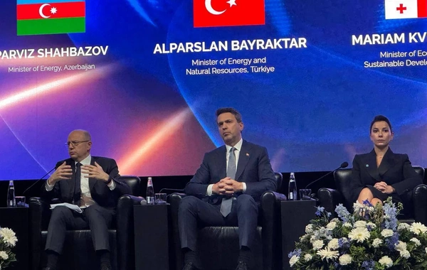 Nazir: Zəngəzurdan keçəcək enerji xətti Türkiyənin regional hab rolunu artıracaq