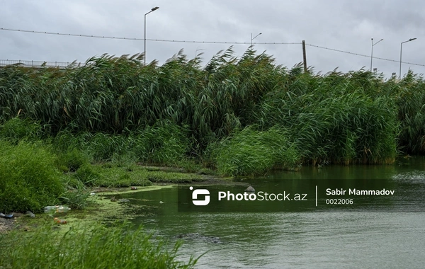Tovuzda göldə qadın meyiti tapıldı