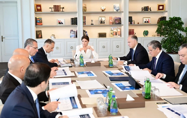 Mehriban Əliyevanın sədrliyi ilə Rəqəmsal İnkişaf Şurasının ilk iclası keçirilib