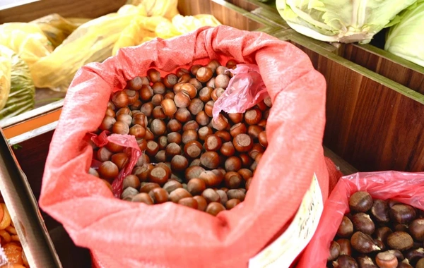 Xankəndidə "Kənddən Şəhərə" Novruz yarmarkası keçirilir