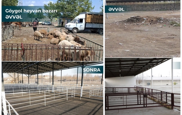İki rayonda heyvan bazarları fəaliyyətə başlayıb