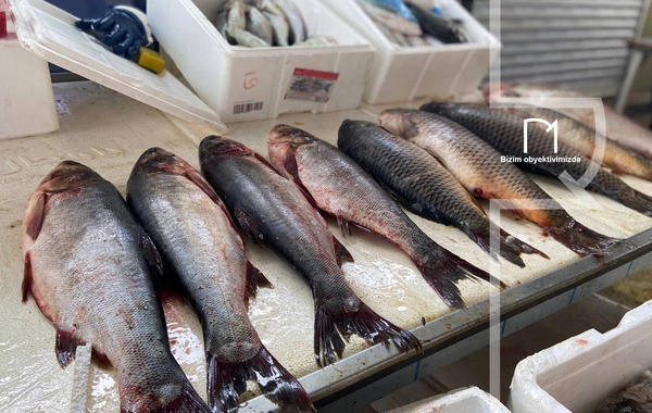 Ət əvəzinə hamı balıq alır - Bazarda SON QİYMƏTLƏR