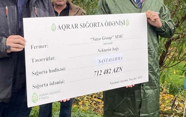 Azərbaycanda meyvə bağını şaxta vurması üzrə 712 min manat sığorta ödənişi edilib