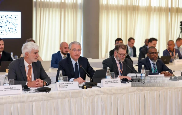 Bakıda iqlim dəyişikliyi ilə mübarizəyə dəstək üçün yaradılmış beynəlxalq Fondun üçüncü iclası keçirilib
