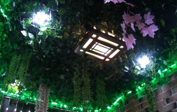 Bakıda gecə əyləncə klubunun fəaliyyəti dayandırılıb