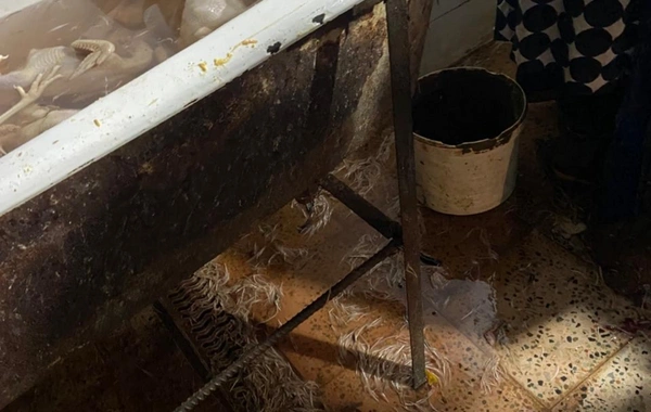 Xırdalanda 2 min ev quşunun qanunsuz kəsildiyi sexin fəaliyyəti məhdudlaşdırılıb