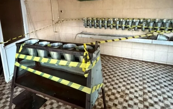 Lənkəranda qanunsuz toyuq kəsimi müəssisəsi aşkarlandı