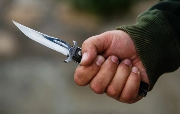 Maşın cəriməsinə görə qonşusunu öldürənə ağır cəza verildi