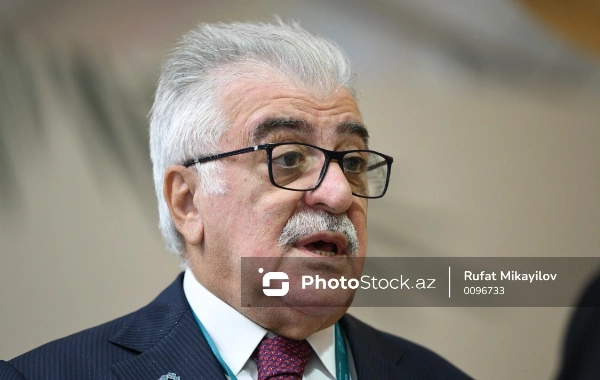 Şamil Ayrım: Azərbaycan güclü ordusu, ədalətli hüquq sistemi ilə sülhün simvoluna çevrilib