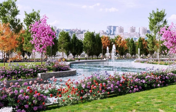 Bakıda 10 hektar ərazidə yeni PARK SALINIR
