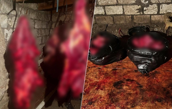 Tərtərdə 150 kq-a yaxın yararsız at ətinin satışa çıxarılmasının qarşısı alınıb