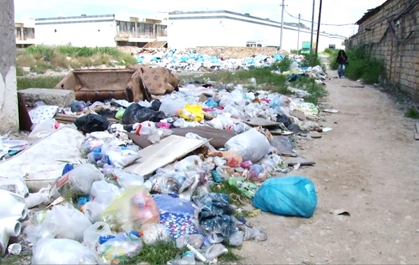 Xırdalanda zibil PROBLEMİ: Üfunətdən, ağcaqanad əlindən evdə oturmaq olmur