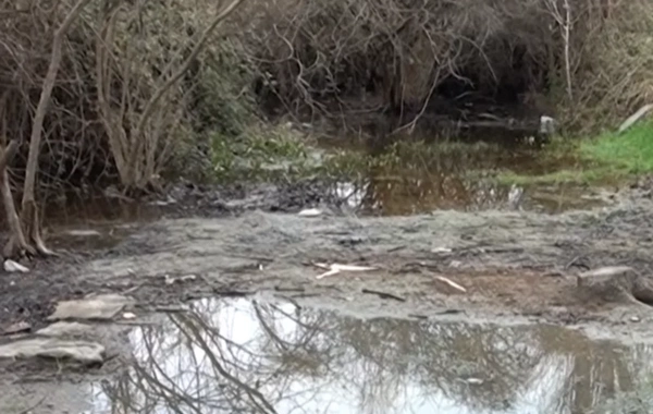 Ucarın mərkəzində Oğuz gölü - Kanalizasiya suları həyətlərə dolur: Şikayətimizə baxan yoxdur