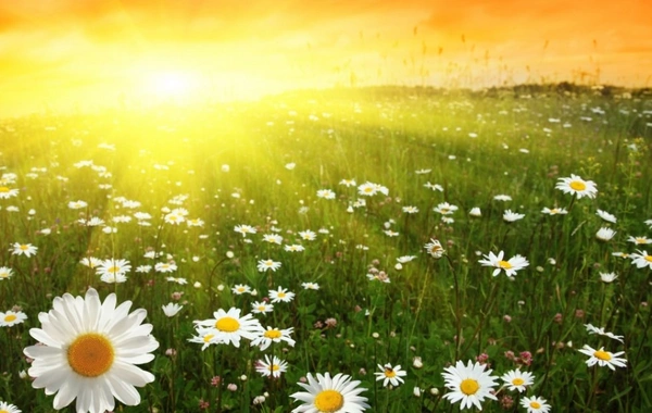 Sabah 29 dərəcə isti olacaq