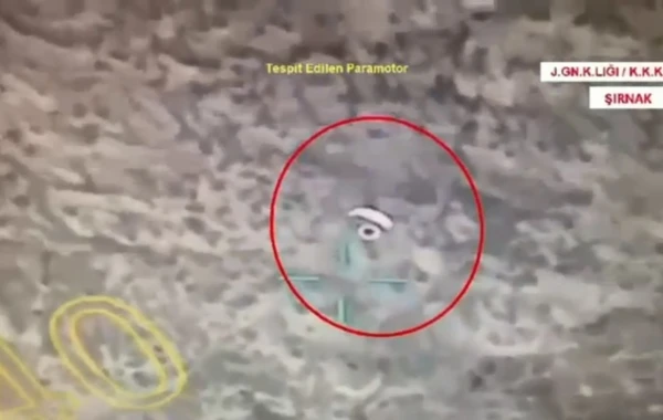 Türkiyədə qırmızı bülletenlə axtarılan terrorçu məhv edilib
