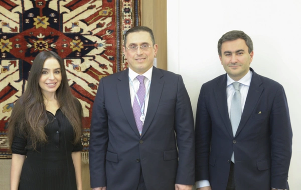 Leyla Əliyeva BMT-nin Cenevrə ofisində "Azərbaycan otağı" ilə tanış olub