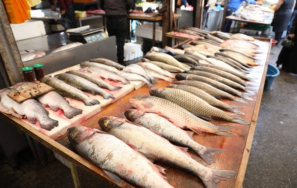 "8-ci km" bazarında nöqsanlar aşkarlanıb