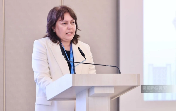 Umayra Tağıyeva: Azərbaycan iqlim riskləri ilə üzləşir